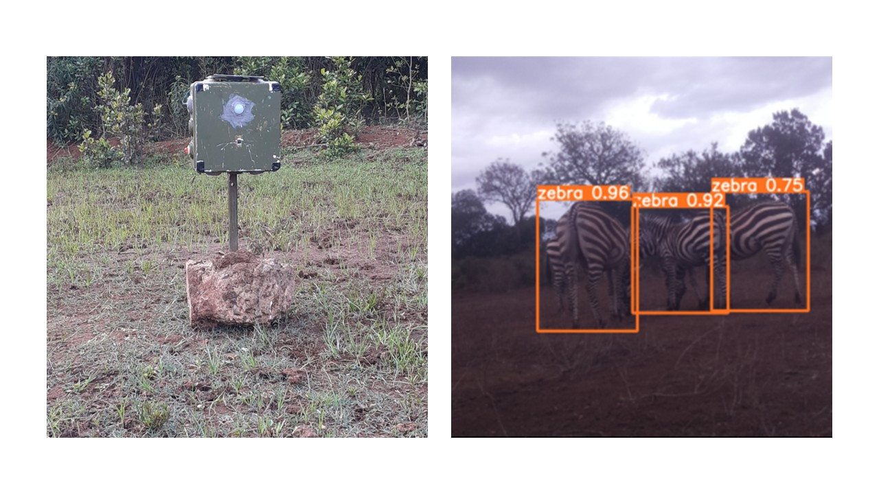 Exploration of machine learning in camera trapping and bioacoustics