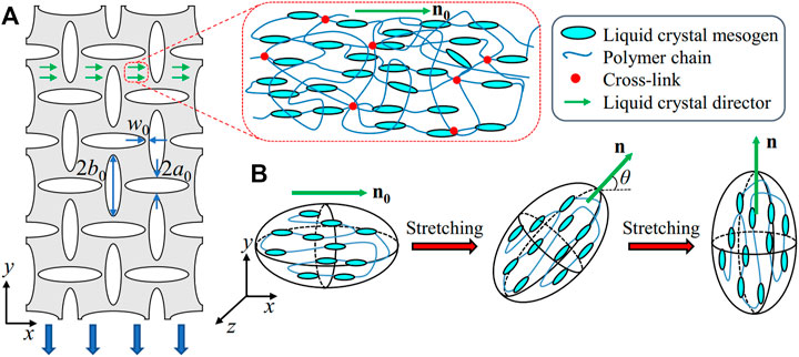 Modeling and simulation of viscoelastic liquid crystal elastomers